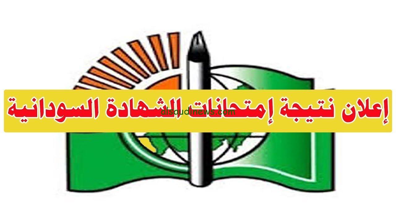 نتائج الشهادة السودانية 2025 وخطوات الاستعلام عنها عبر الموقع الرسمي لوزارة التربية والتعليم
