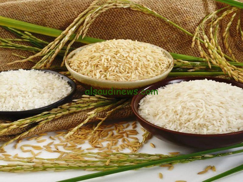 سعر طن أرز الشعير اليوم الأحد 2 فبراير 2025 في جميع الأسواق المحلية ومنافذ البيع