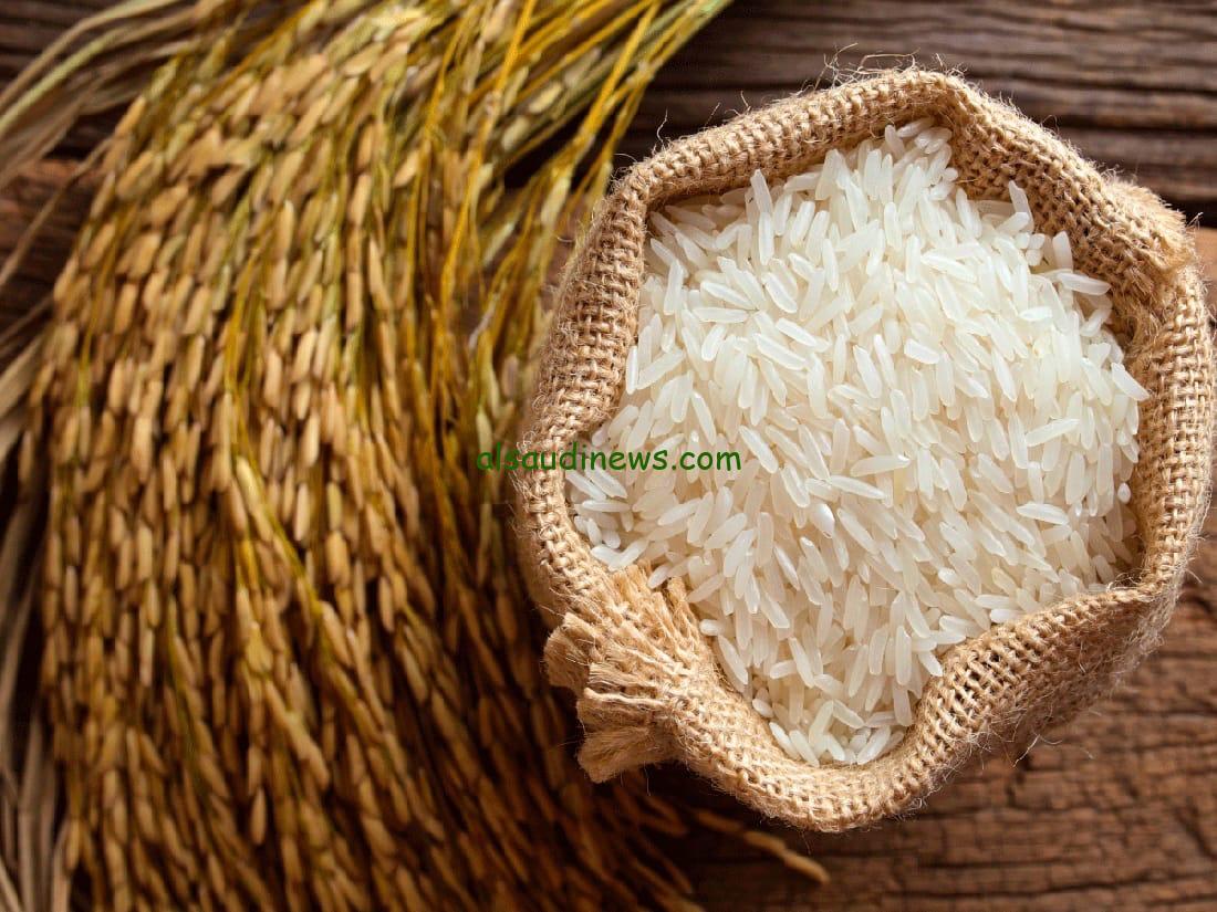 “من الكيلو للطن” سعر طن الأرز الشعير اليوم الأربعاء 5 فبراير 2025 في الأسواق التجارية والمحلية