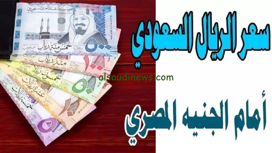 بكام عملة المملكة العربية فى السوق السوداء .. سعر الريال السعودي اليوم الجمعة مقابل الجنية المصري فى جميع البنوك
