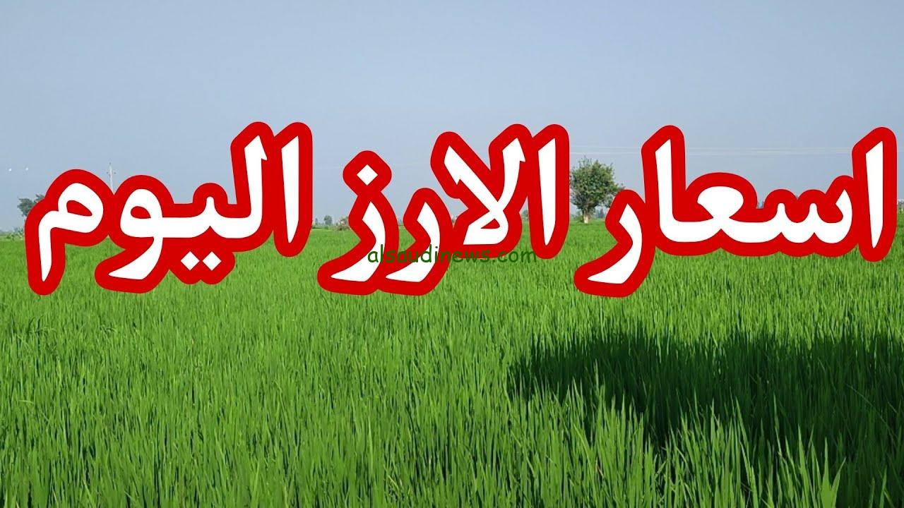 العريض سجل كام؟.. سعر طن الأرز الشعير اليوم الجمعة 14 مارس 2025 في جميع الأسواق المصرية
