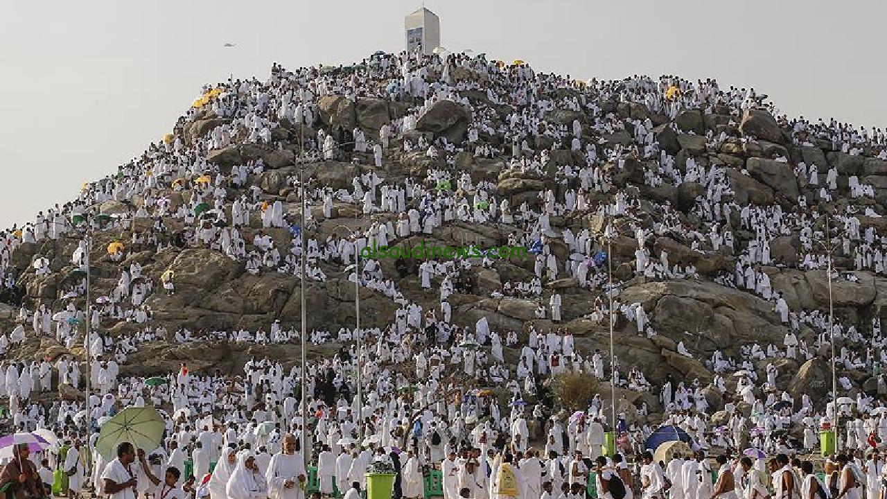 شركات حجاج الداخل تستعد لموسم الحج بتجهيزات جديدة في مشعر منى وعرفات