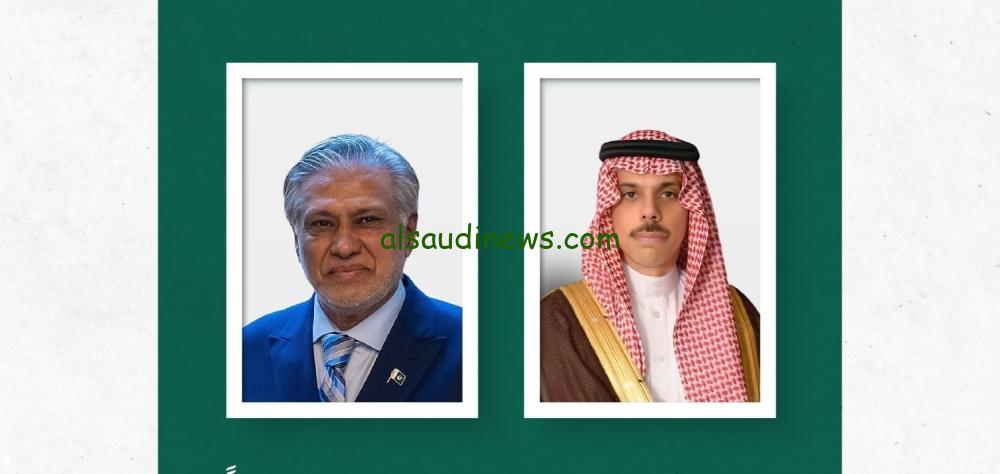 وزير الخارجية يناقش جهود التهدئة بين الهند وباكستان