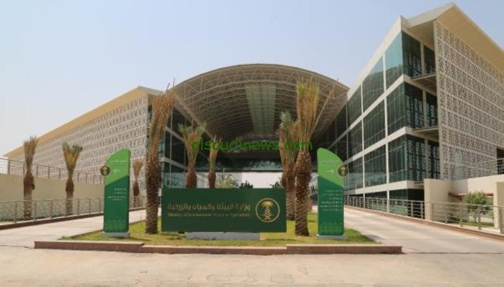 إطلاق برنامج غراس لتطوير واستقطاب الكفاءات الشابة من قبل وزارة البيئة