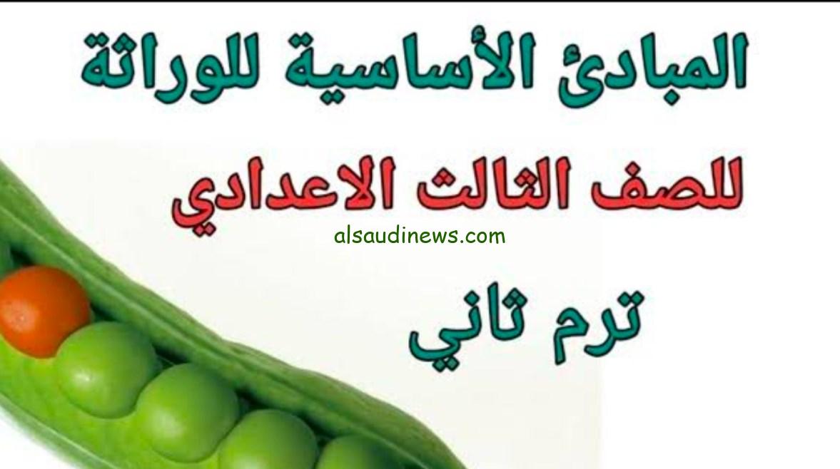شرح المبادئ الأساسية للوراثة للصف الثالث الإعدادي في العلوم