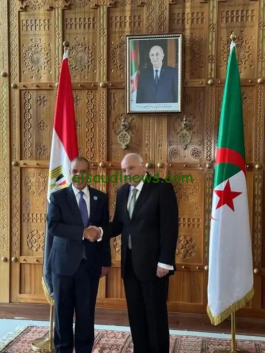 وزير الخارجية ونظيره الجزائري يشددان على موقفهما الرافض لتهجير الفلسطينيين