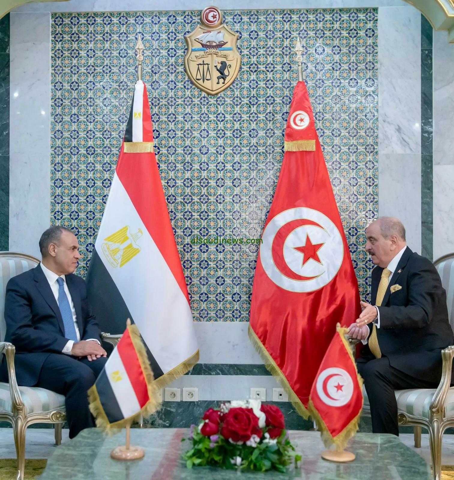 وزير الخارجية ونظيره التونسي يؤكدان على أهمية وقف إطلاق النار وإعادة إعمار غزة