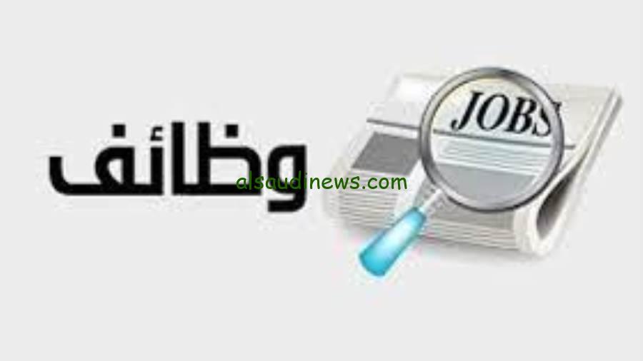فرصة توظيف رائعة في مصرف أبوظبي الإسلامي: تفاصيل الوظيفة وكيفية التقديم