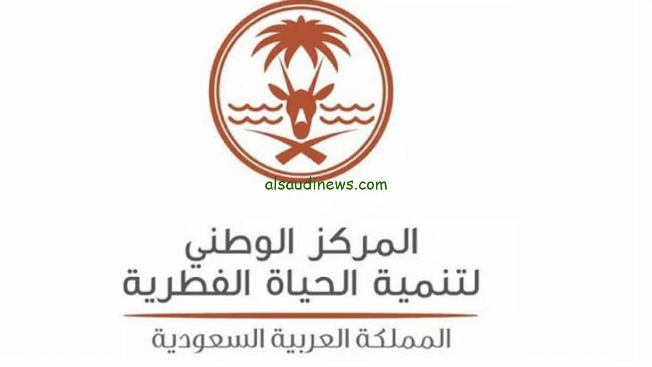 إطلاق 32 كائنًا فطريًا مهددًا بالانقراض في محمية الملك خالد الملكية