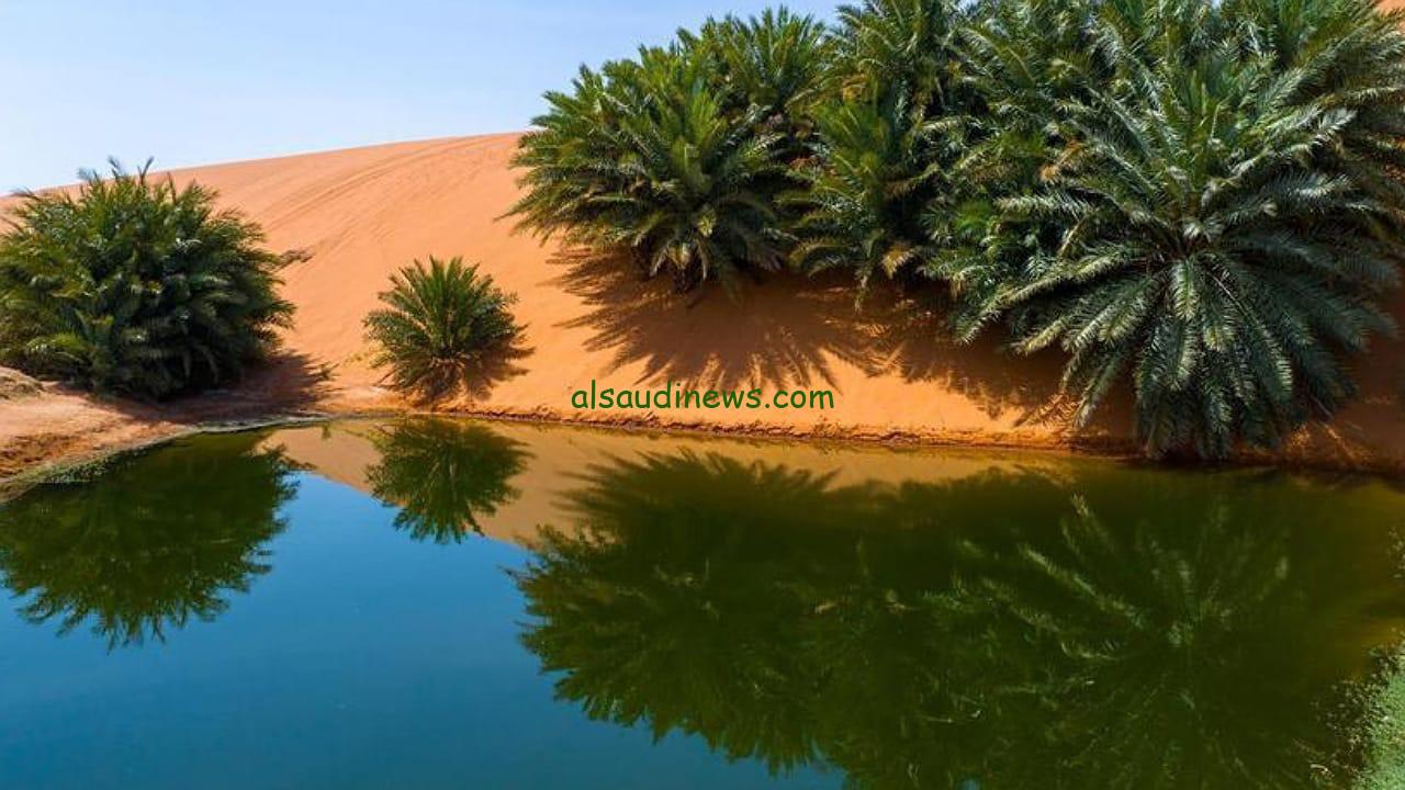 انضمام جيوبارك شمال الرياض وسلما إلى شبكة اليونسكو يعزز التراث الجيولوجي السعودي