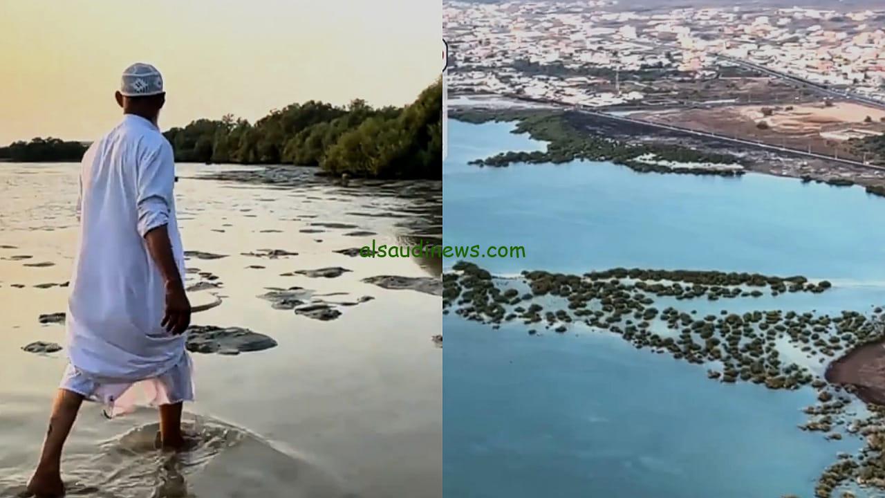 اكتشف عين الماء العذبة التي تدهش الزوار على شاطئ القحمة في عسير