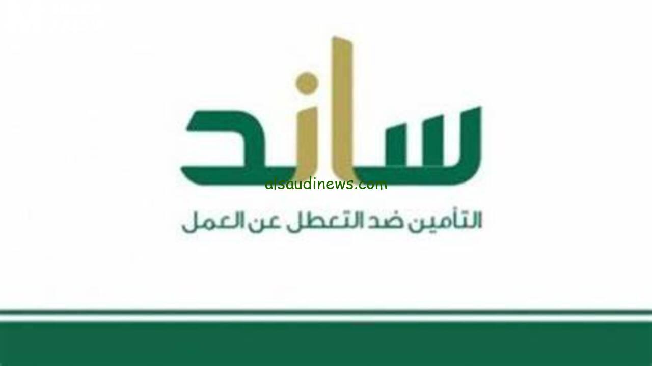 استعد لمستقبل مشرق مع منصة ساند 2025! اكتشف كيفية التسجيل وشروط القبول