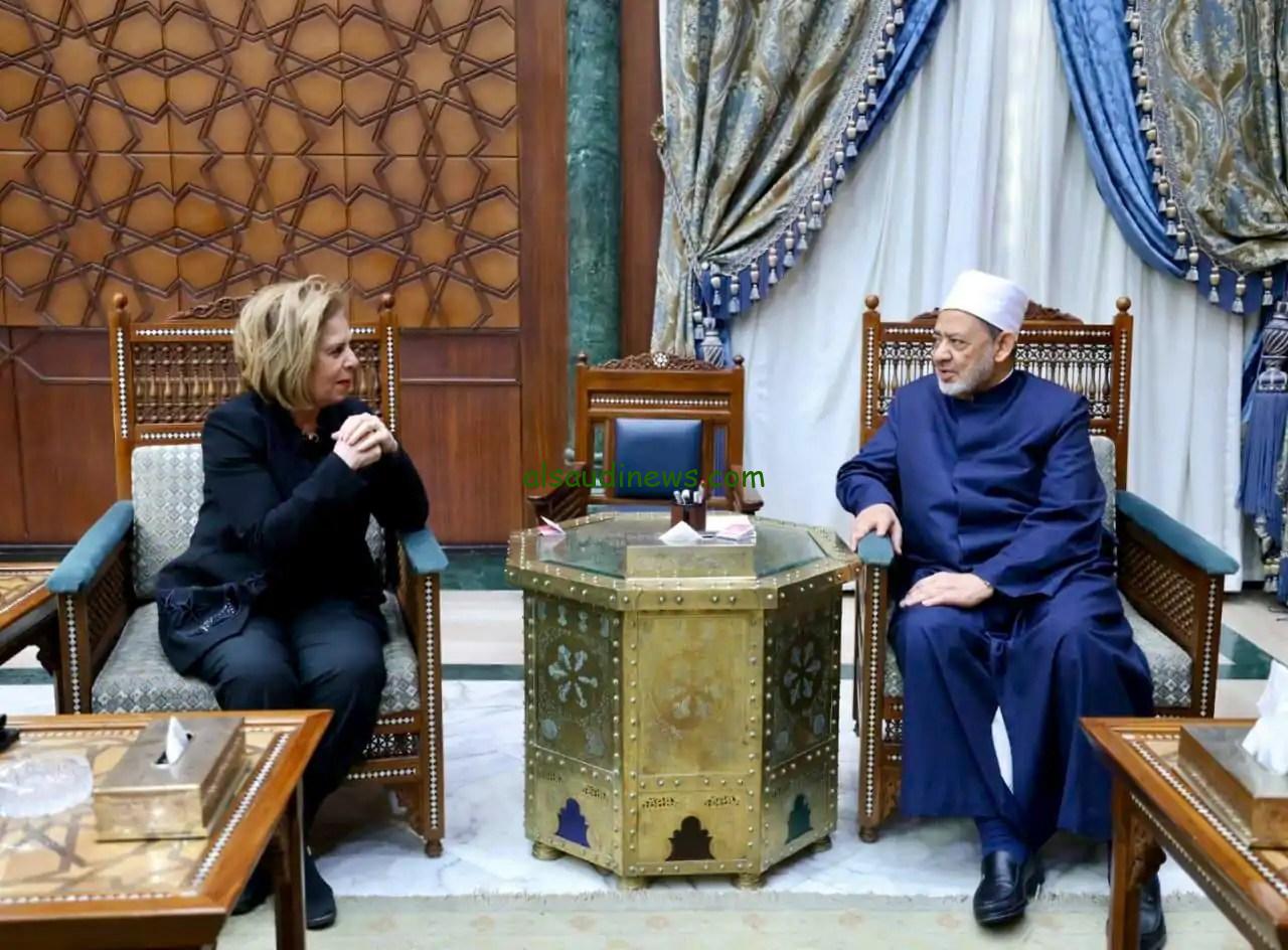 شيخ الأزهر ورئيسة حقوق الإنسان يبحثان تعزيز التعاون في دعم القيم الإنسانية