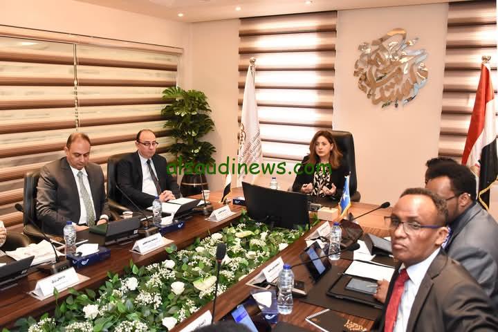 وزيرة التخطيط: تعزيز التعاون مع الدول الأفريقية