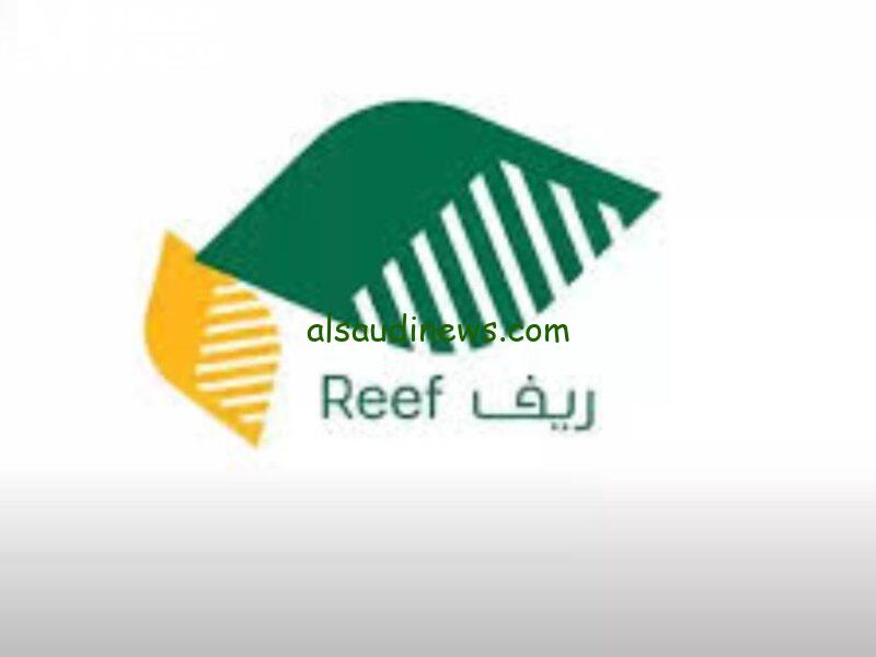 كيفية الاستعلام عن دعم ريف 2025: خطوات التأكد من استحقاقك للدعم