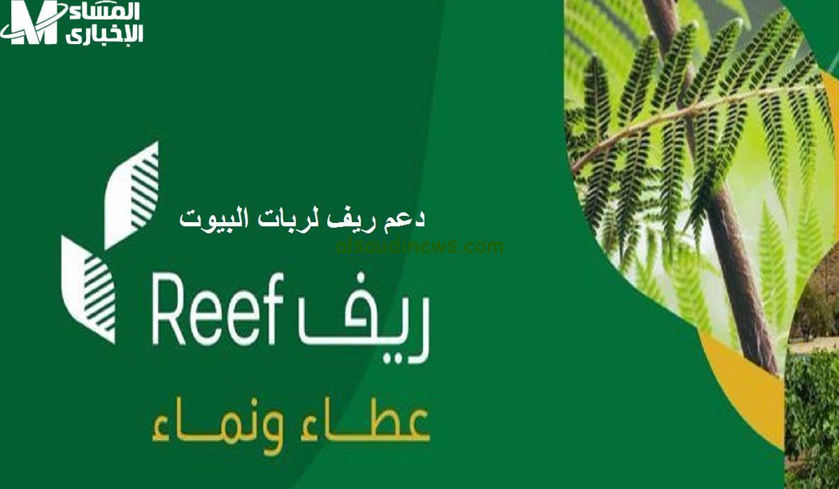 كيفية الاستعلام عن أهلية دعم ريف برقم الهوية: خطوات بسيطة لمعرفة نتيجتك الآن