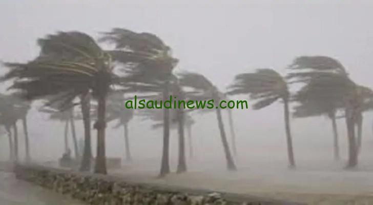 حالة الطقس غدًا السبت: شبورة صباحية ونشاط للرياح مع درجة حرارة صغرى 18 في القاهرة