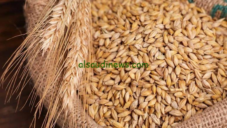 بكام النهاردة العريض والرفيع .. سعر طن الارز الشعير اليوم فى مصر فى جميع الاسواق الجملة والقطاعى