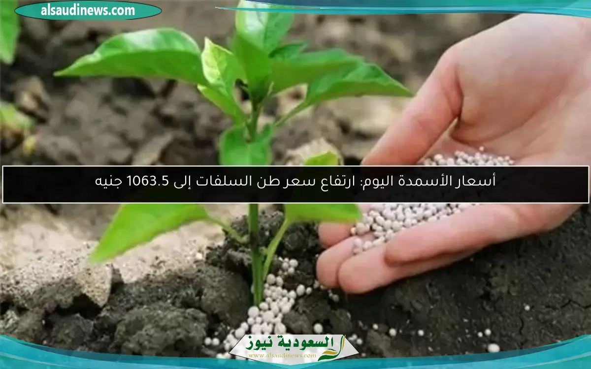 أسعار الأسمدة اليوم: ارتفاع سعر طن السلفات إلى 1063.5 جنيه