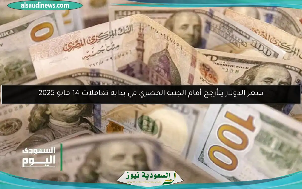 سعر الدولار يتأرجح أمام الجنيه المصري في بداية تعاملات 14 مايو 2025