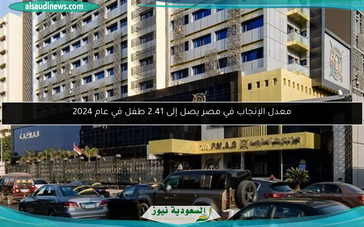 معدل الإنجاب في مصر يصل إلى 2.41 طفل في عام 2024