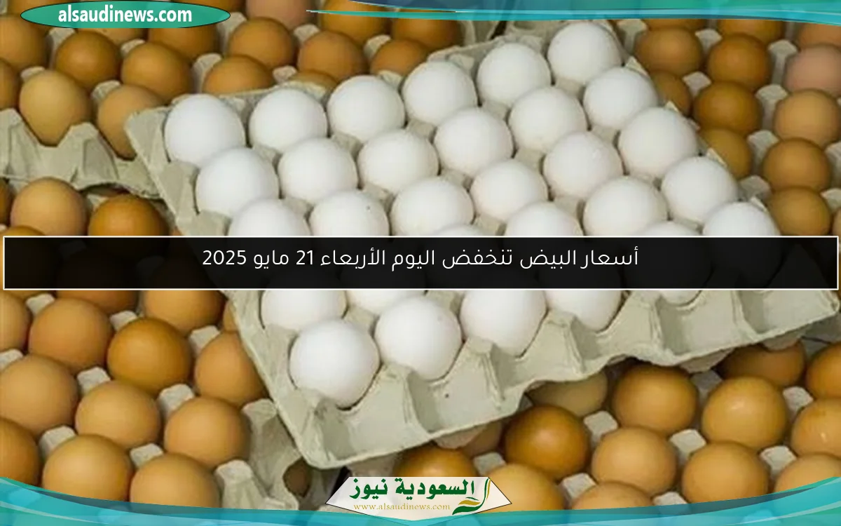 أسعار البيض تنخفض اليوم الأربعاء 21 مايو 2025