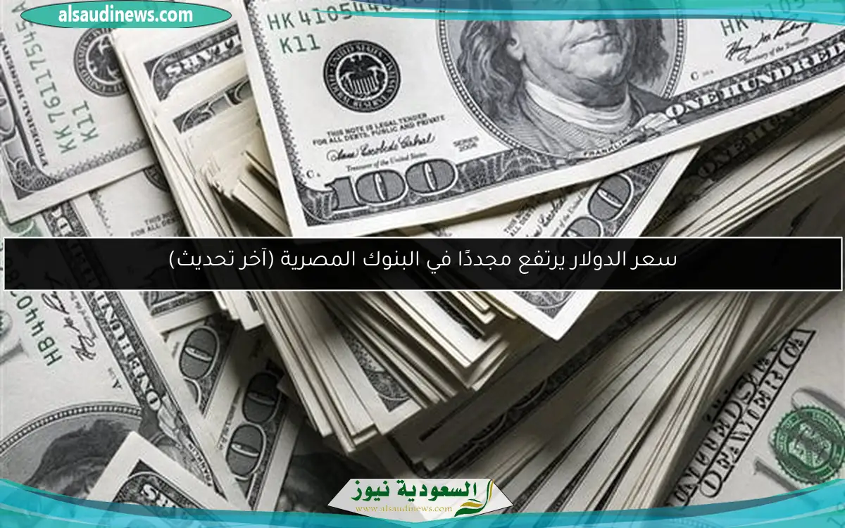سعر الدولار يرتفع مجددًا في البنوك المصرية (آخر تحديث)