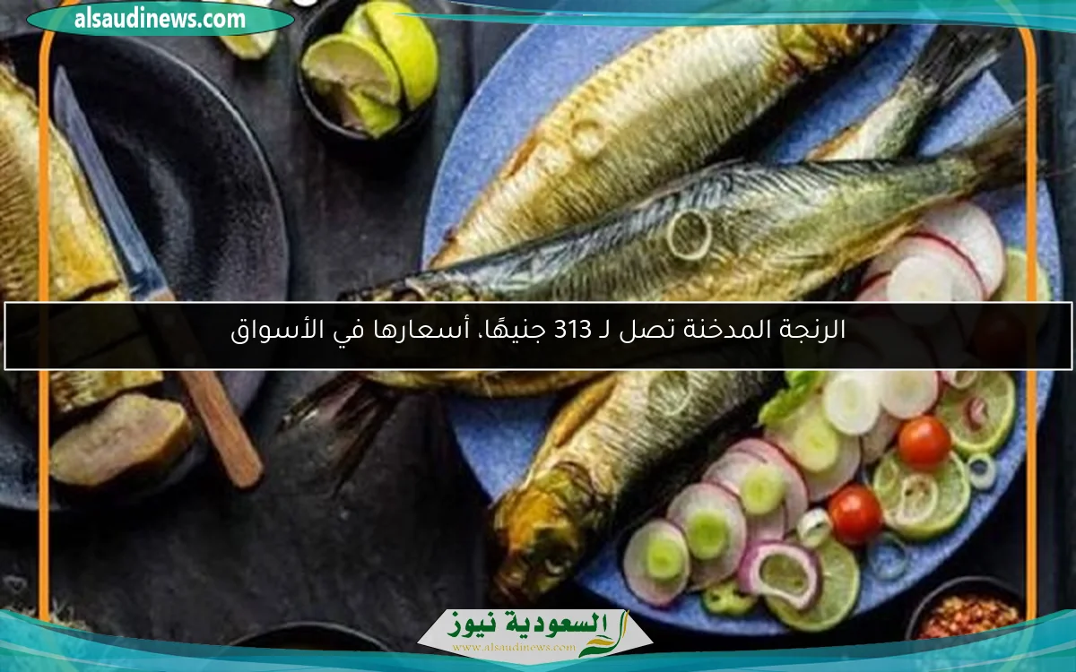 الرنجة المدخنة تصل لـ 313 جنيهًا، أسعارها في الأسواق