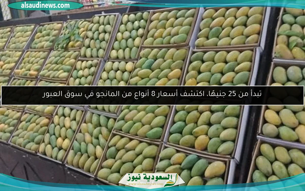 تبدأ من 25 جنيهًا، اكتشف أسعار 8 أنواع من المانجو في سوق العبور