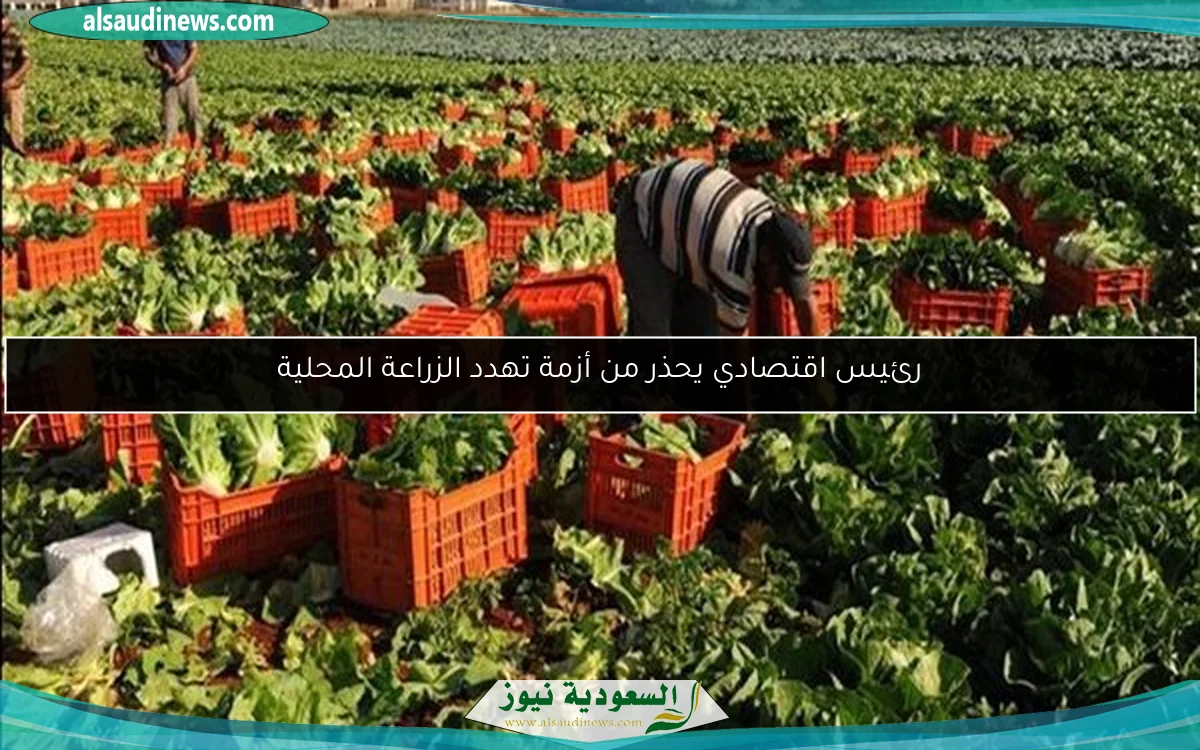 رئيس اقتصادي يحذر من أزمة تهدد الزراعة المحلية