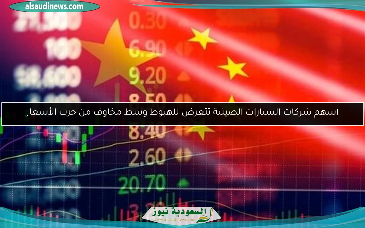 أسهم شركات السيارات الصينية تتعرض للهبوط وسط مخاوف من حرب الأسعار