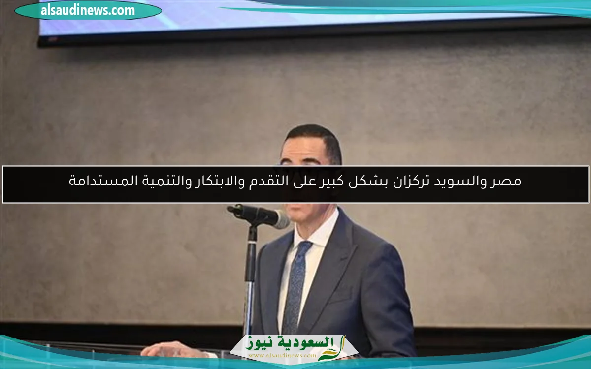 مصر والسويد تركزان بشكل كبير على التقدم والابتكار والتنمية المستدامة