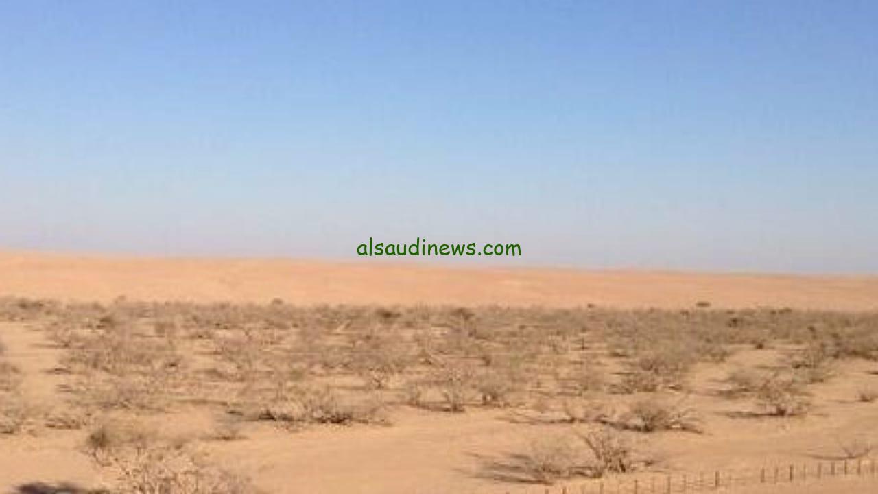 تحذير من خطر العشب اليابس في المحميات مع ارتفاع درجات الحرارة
