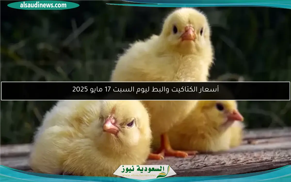 أسعار الكتاكيت والبط ليوم السبت 17 مايو 2025
