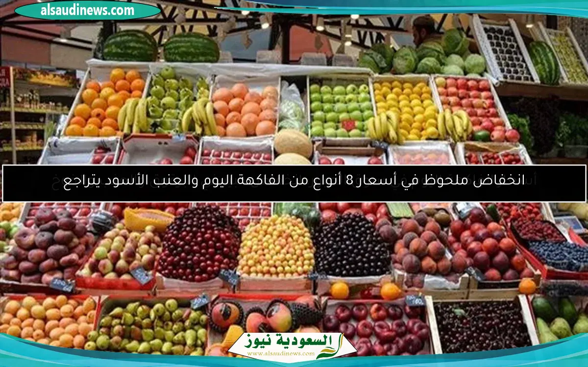 انخفاض ملحوظ في أسعار 8 أنواع من الفاكهة اليوم والعنب الأسود يتراجع