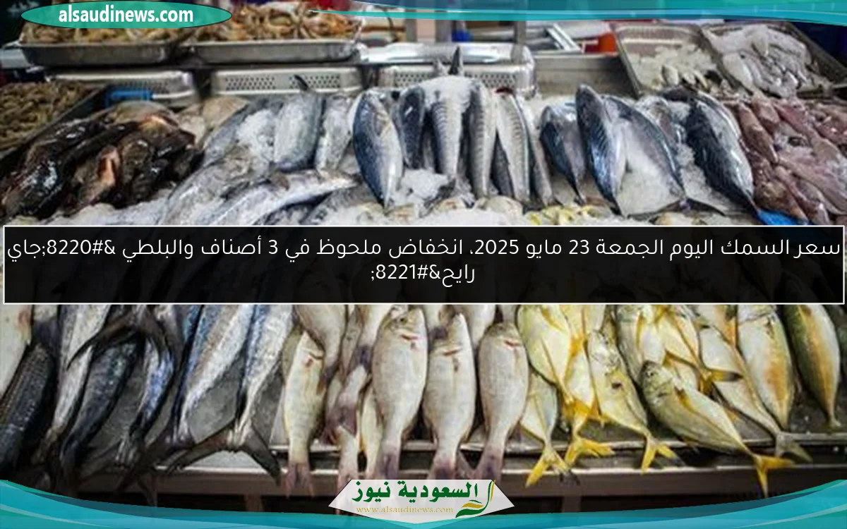 سعر السمك اليوم الجمعة 23 مايو 2025، انخفاض ملحوظ في 3 أصناف والبلطي “جاي رايح”