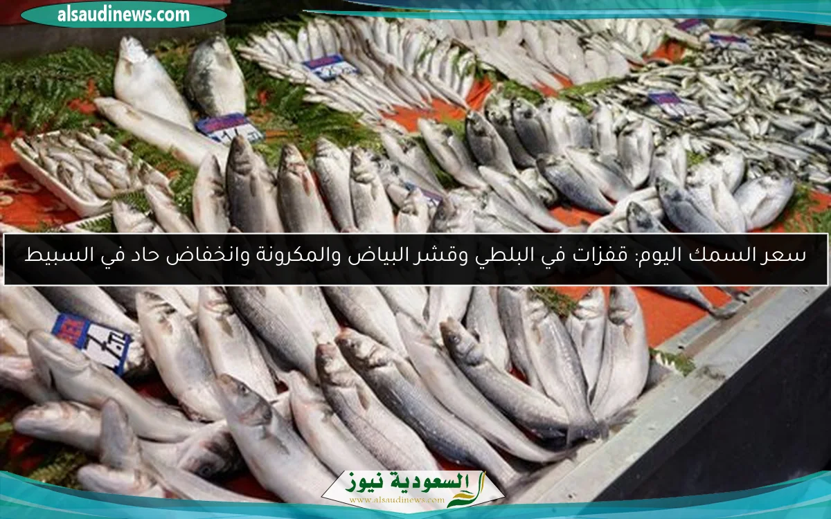 سعر السمك اليوم: قفزات في البلطي وقشر البياض والمكرونة وانخفاض حاد في السبيط