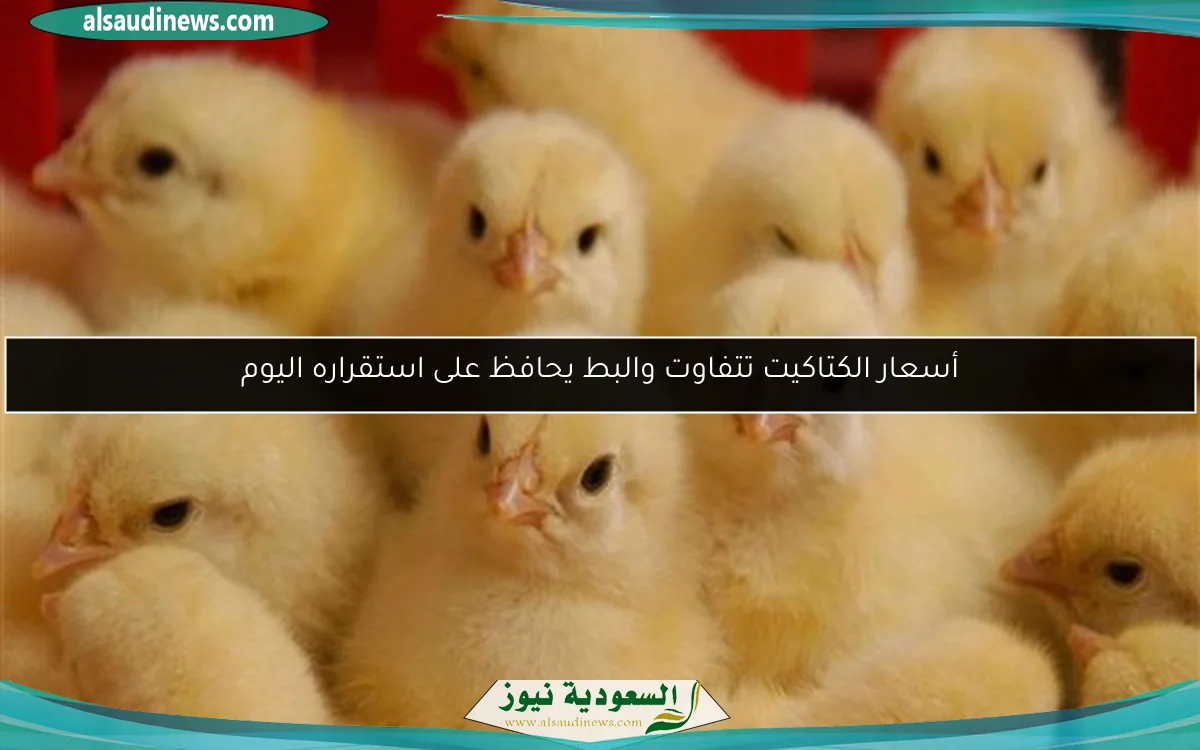 كامل الوزير يعلن حوافز تعميق التصنيع المحلي وجذب الاستثمارات