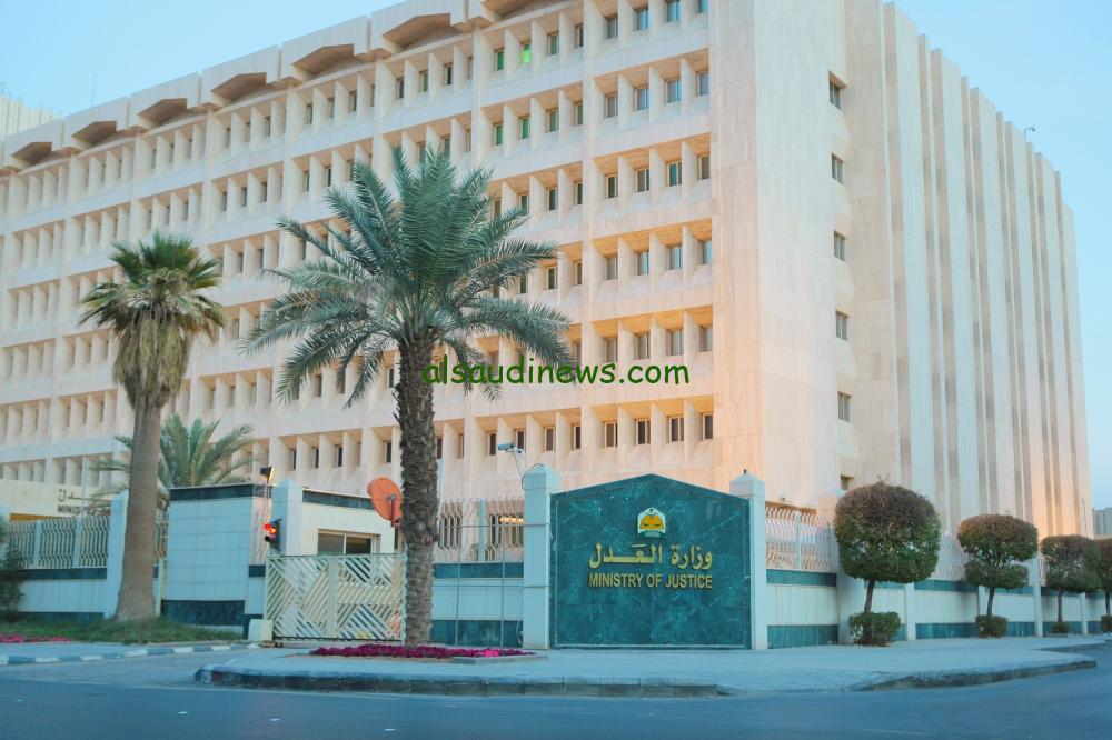 5600 موثق يكملون 380 ألف عملية مع إطلاق خدمات جديدة