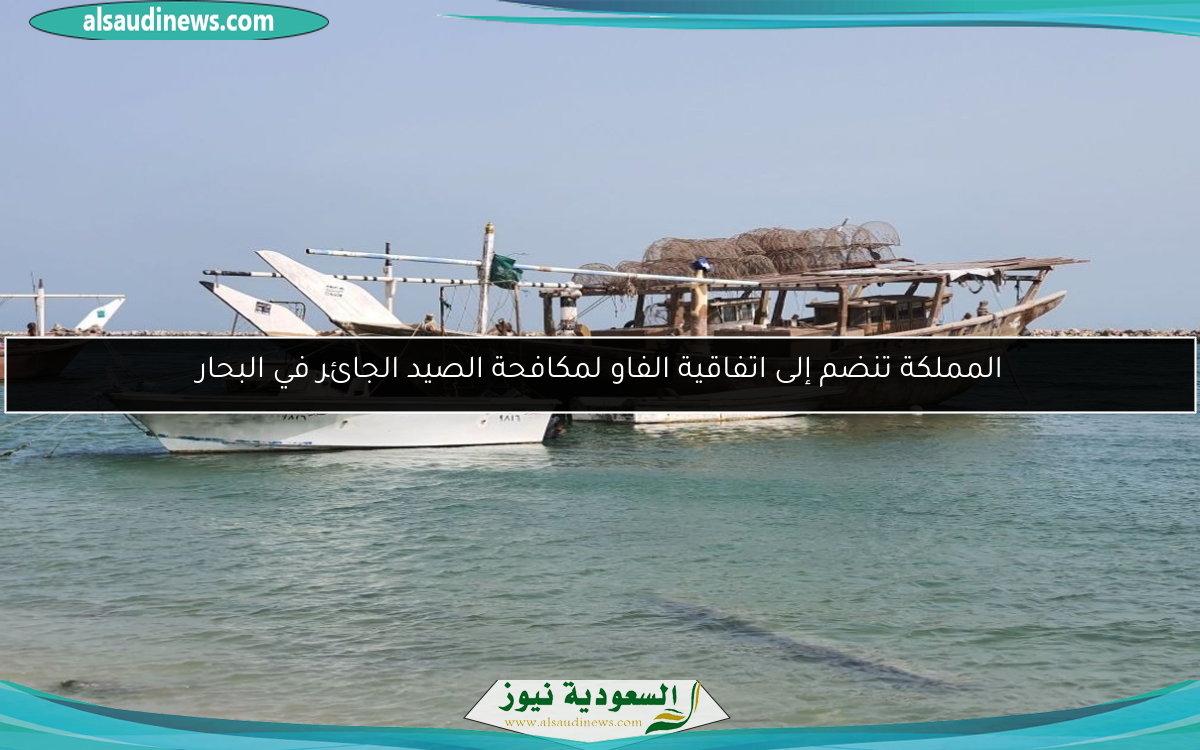 المملكة تنضم إلى اتفاقية الفاو لمكافحة الصيد الجائر في البحار
