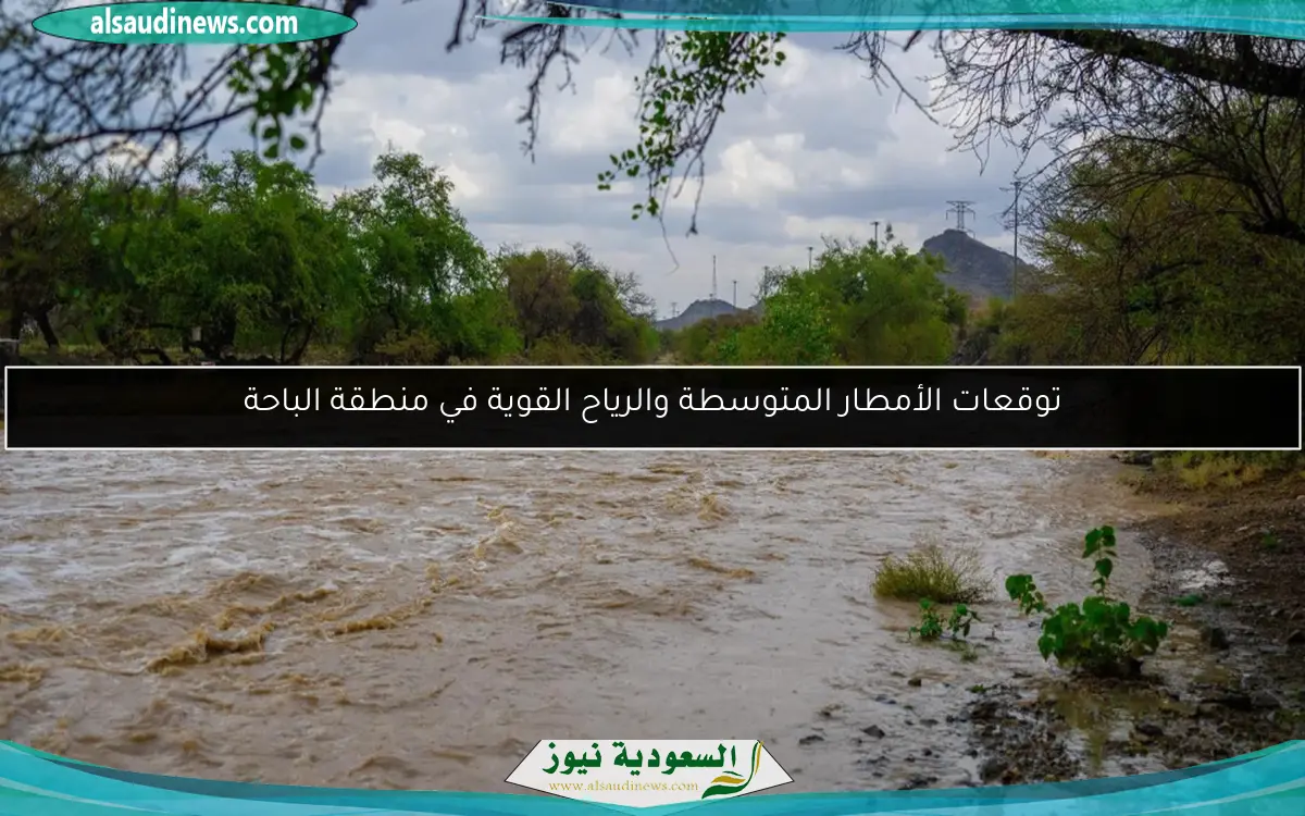 توقعات الأمطار المتوسطة والرياح القوية في منطقة الباحة