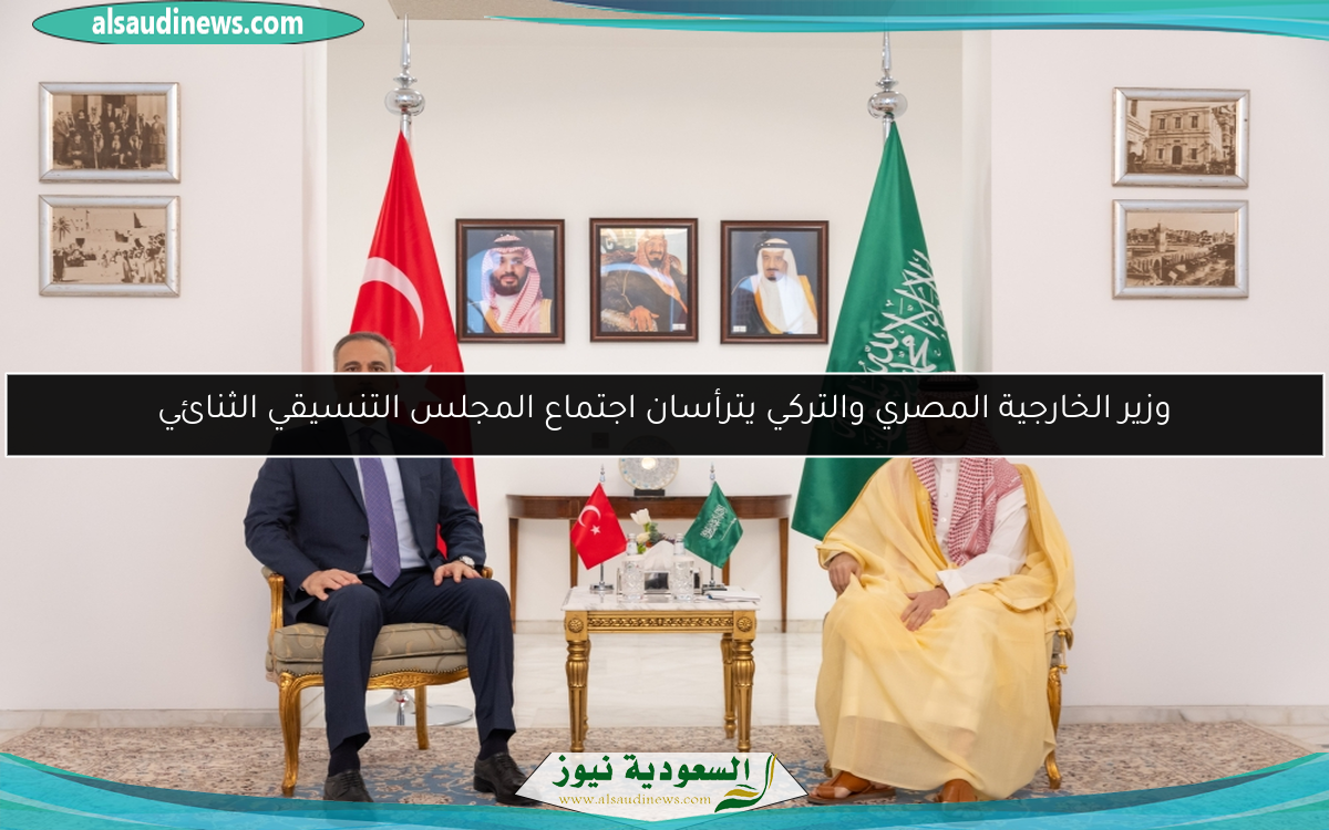وزير الخارجية المصري والتركي يترأسان اجتماع المجلس التنسيقي الثنائي