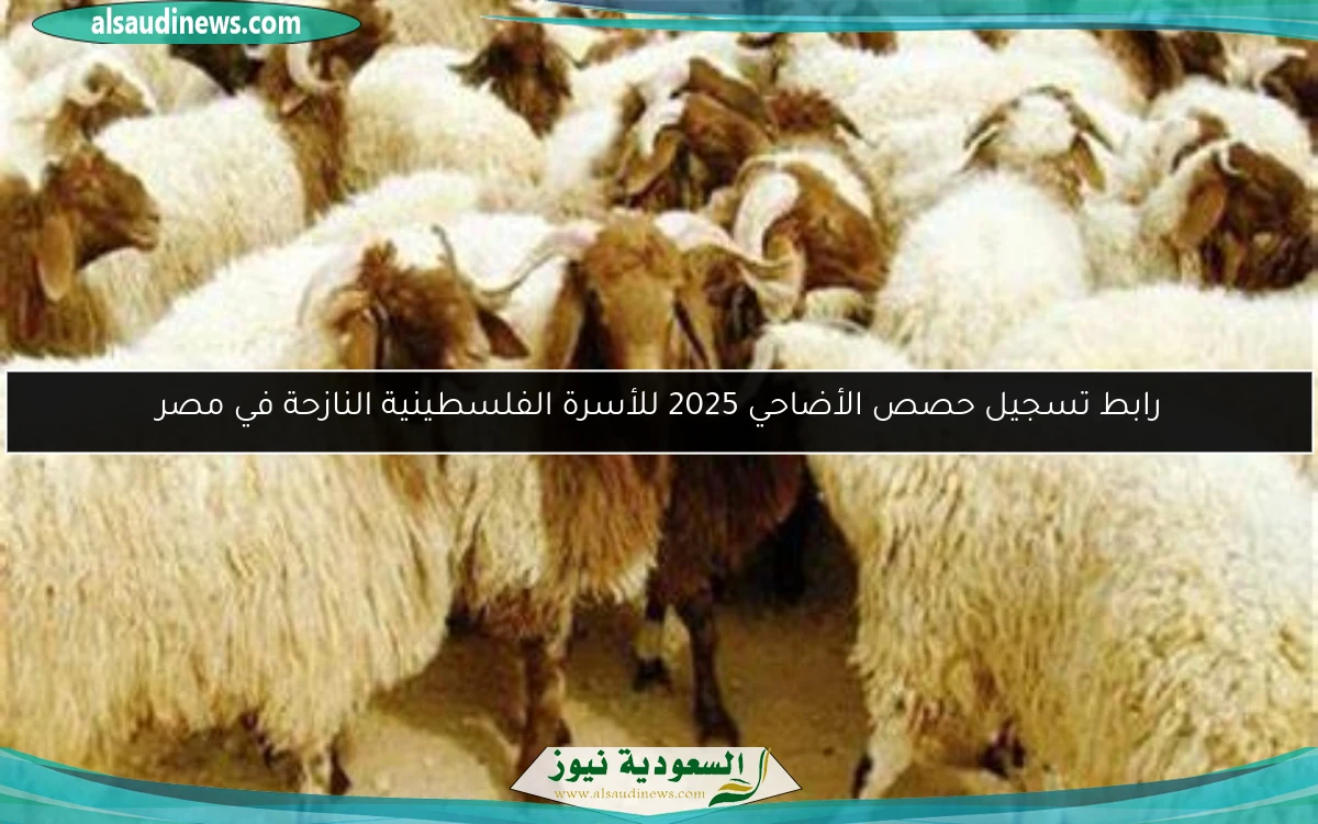 رابط تسجيل حصص الأضاحي 2025 للأسرة الفلسطينية النازحة في مصر