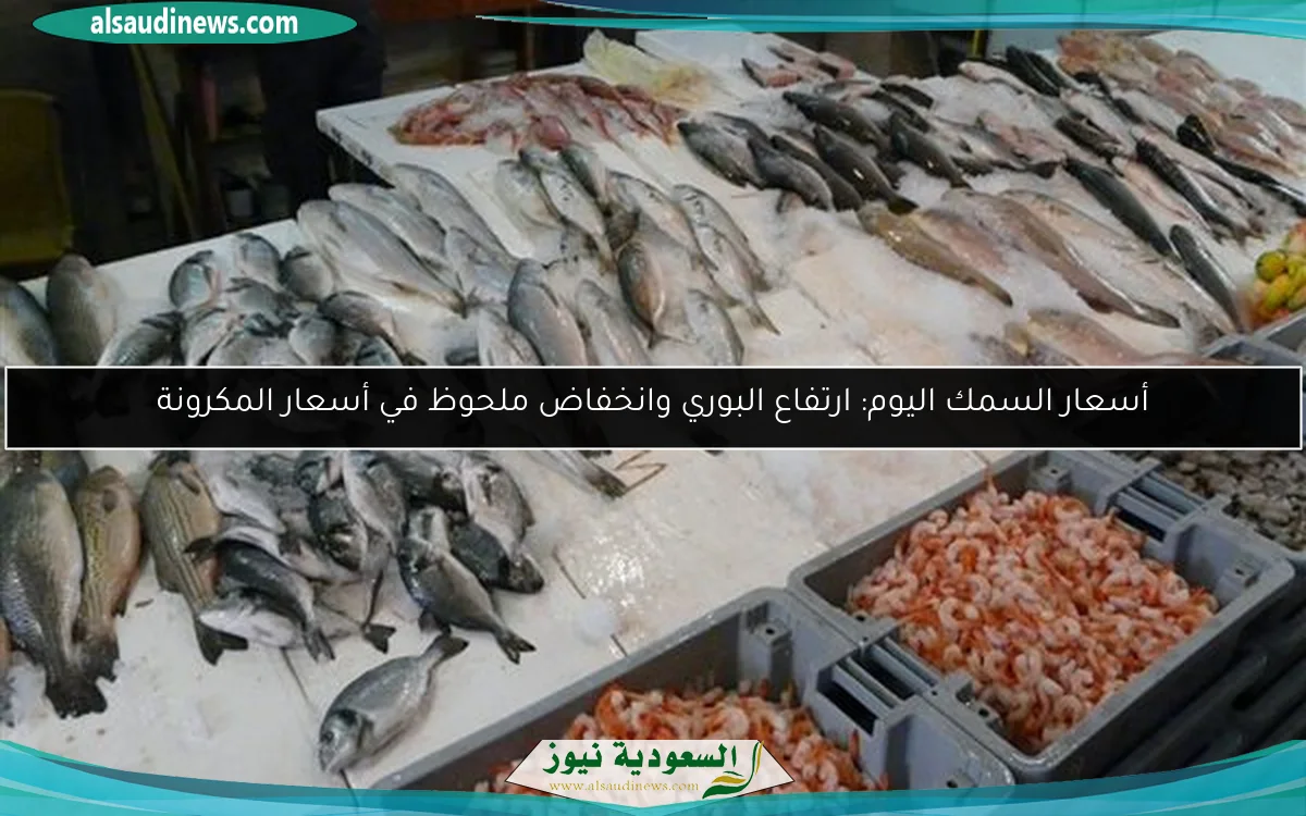 أسعار السمك اليوم: ارتفاع البوري وانخفاض ملحوظ في أسعار المكرونة