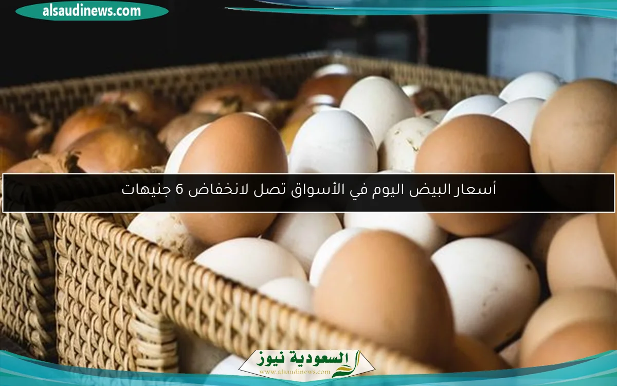 أسعار البيض اليوم في الأسواق تصل لانخفاض 6 جنيهات