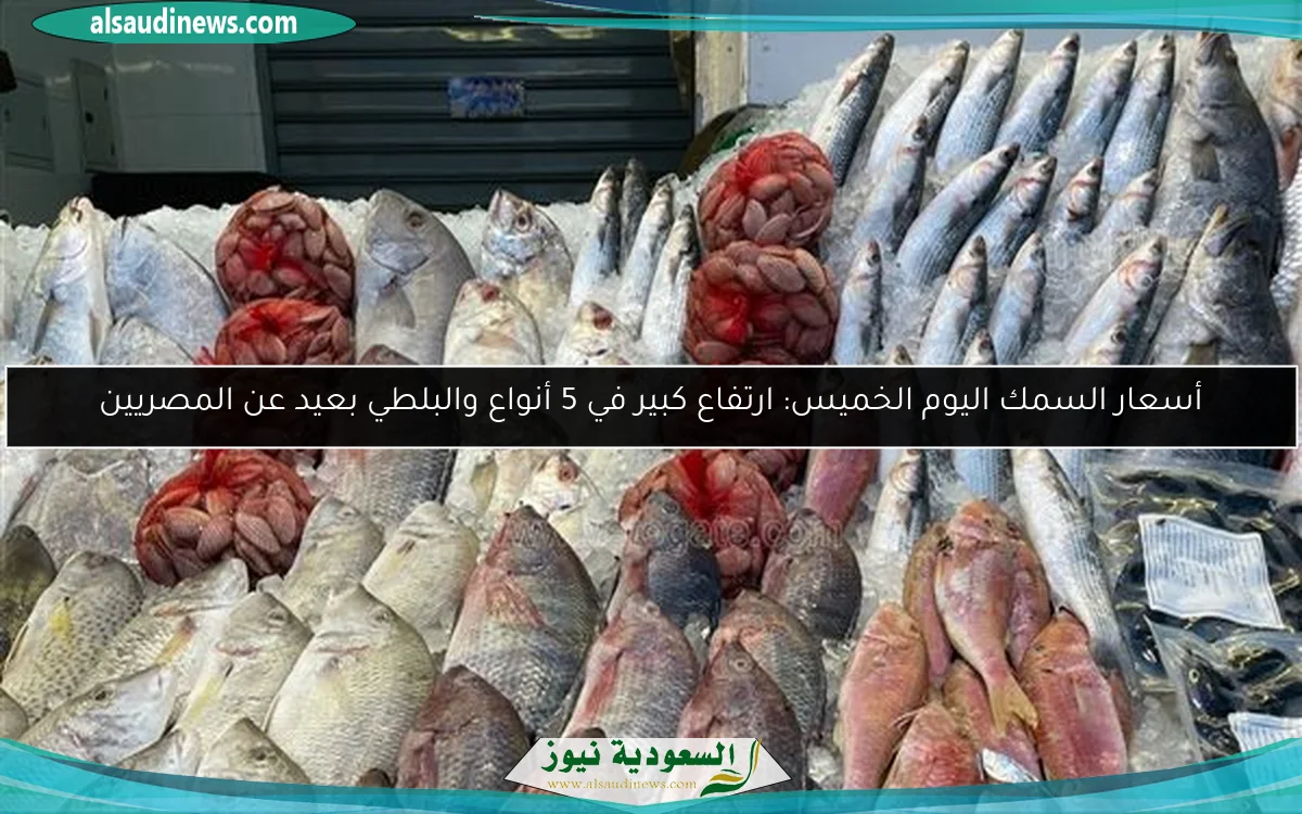 أسعار السمك اليوم الخميس: ارتفاع كبير في 5 أنواع والبلطي بعيد عن المصريين