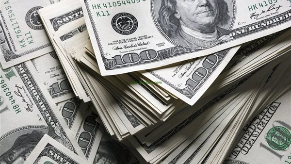 هل سيشهد سعر الدولار تغييرات قريبة? خبير يوضح خطة الحكومة لثبات العملة