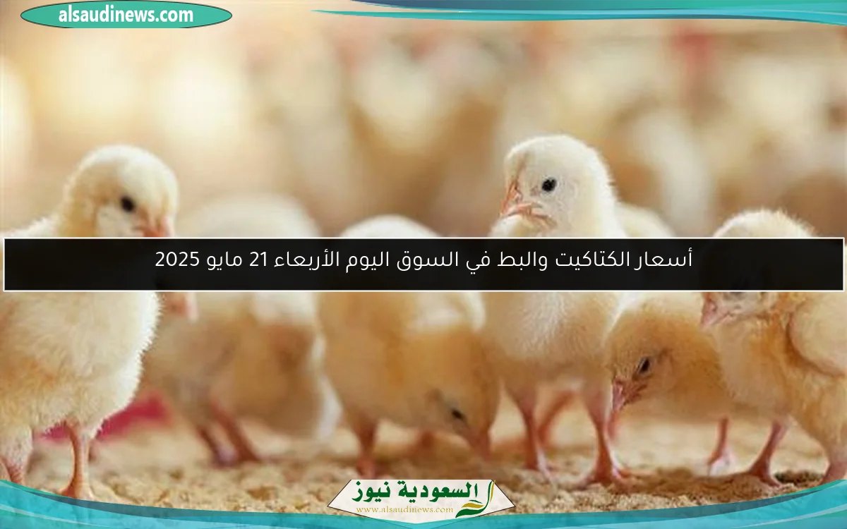 أسعار الكتاكيت والبط في السوق اليوم الأربعاء 21 مايو 2025