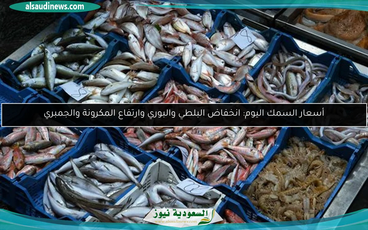 توقعات مثيرة للطقس في مصر اليوم الاثنين 19 مايو مع انخفاض مفاجئ في درجات الحرارة