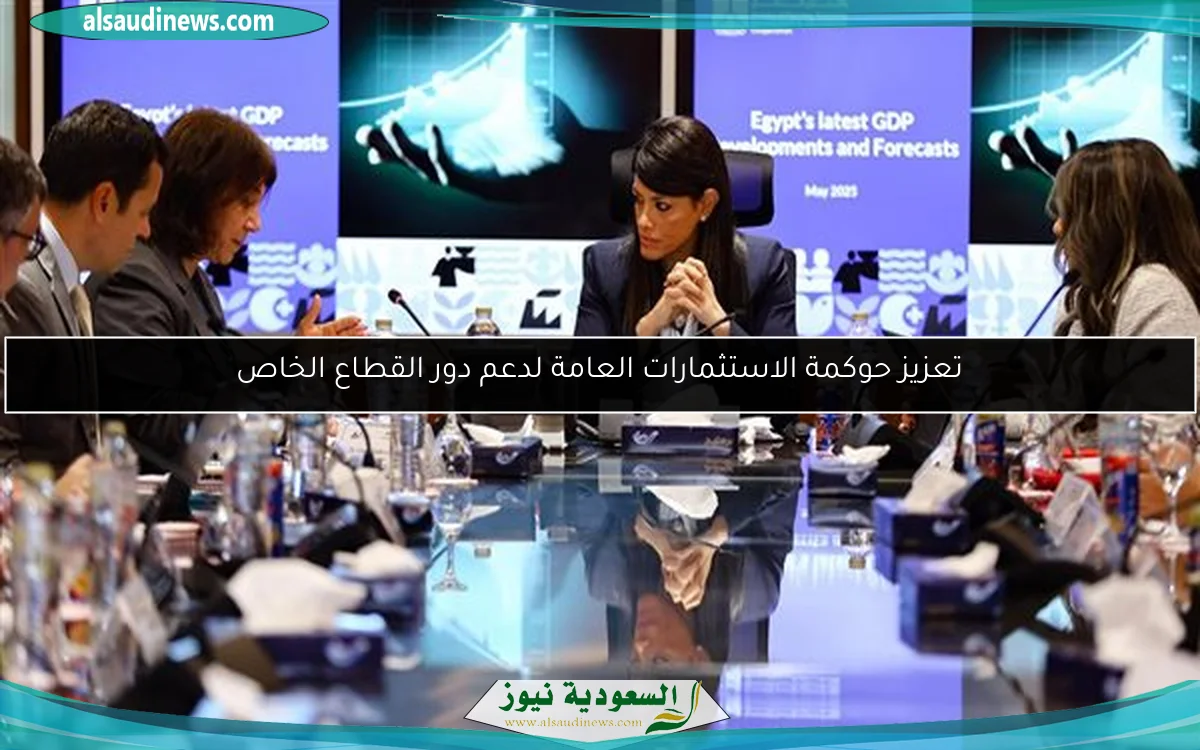 تعزيز حوكمة الاستثمارات العامة لدعم دور القطاع الخاص